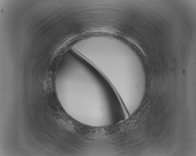 X0000084010968200702160821