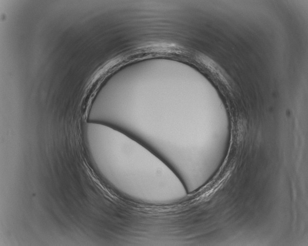 X0000084010970200702160821