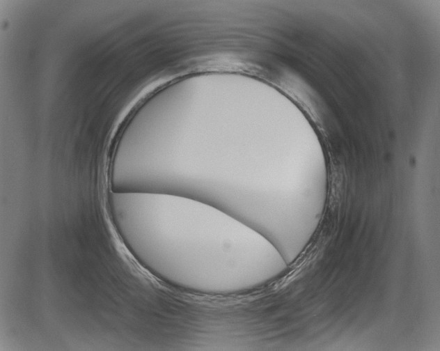 X0000084011000200702160820