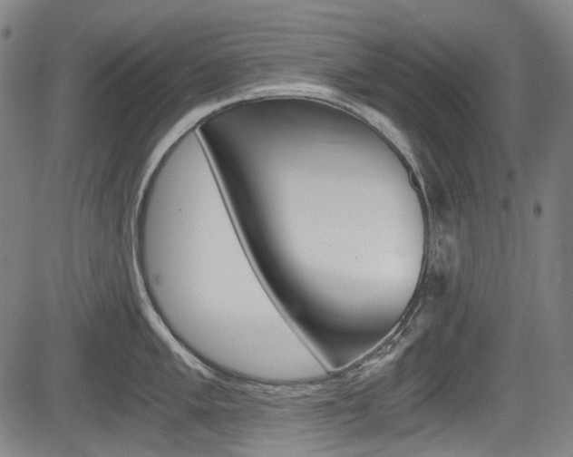X0000084011005200702160820