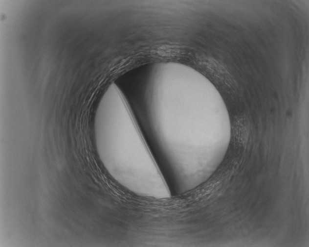 X0000084011009200702160819