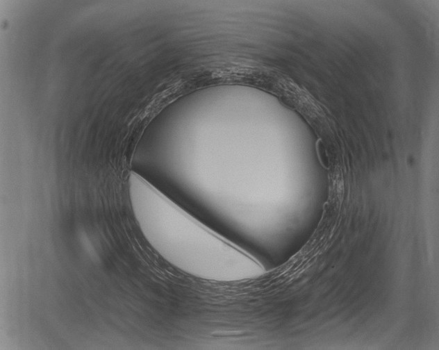 X0000084011012200702160819