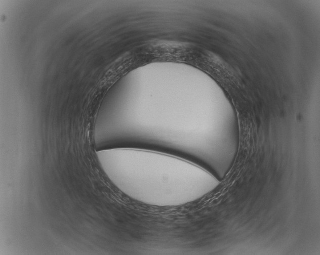 X0000084011013200702160819
