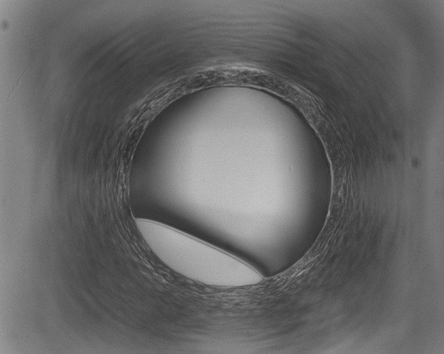 X0000084011014200702160819