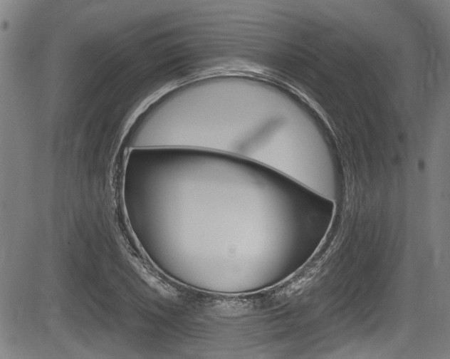 X0000084011026200702160820