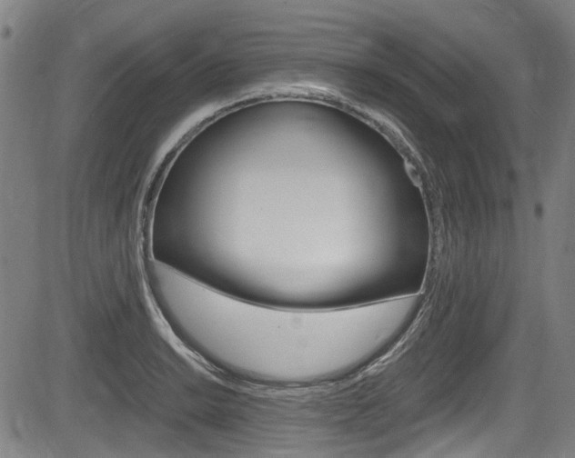 X0000084011038200702160820