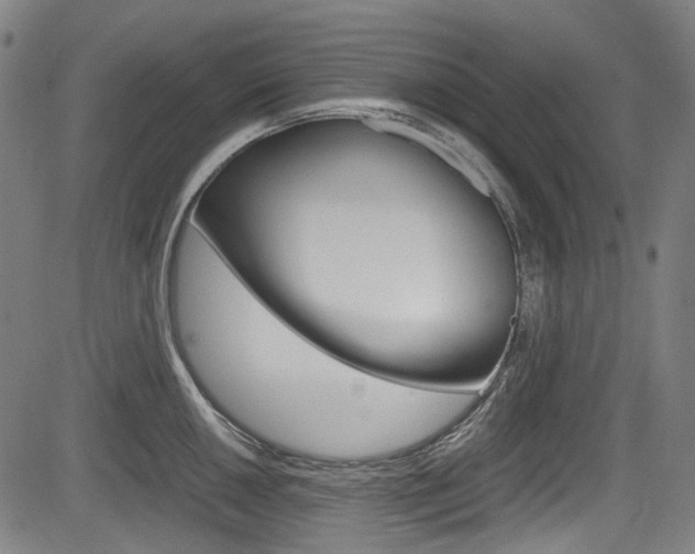 X0000084011050200702160820