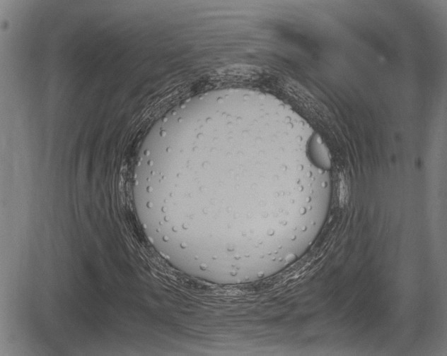 X0000084011059200702160819