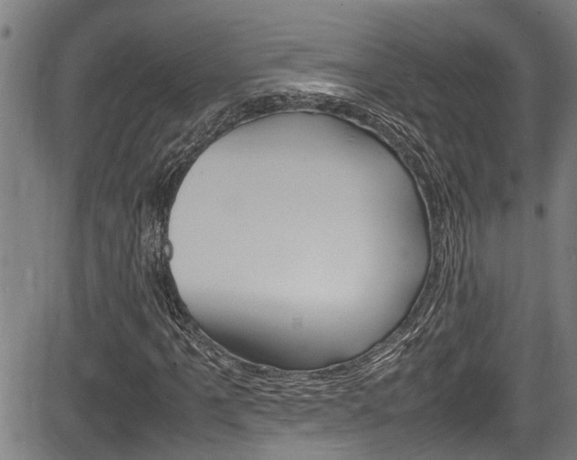 X0000084011061200702160819