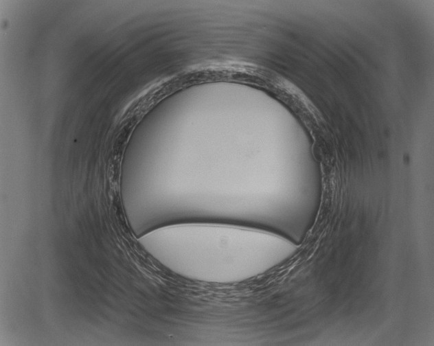 X0000084011064200702160819