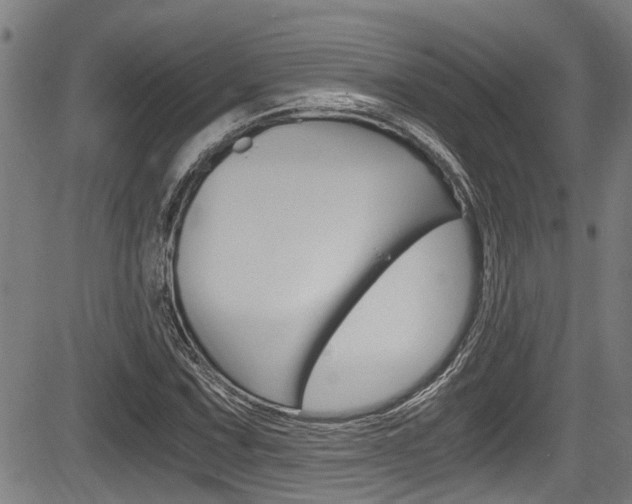 X0000084011067200702160819