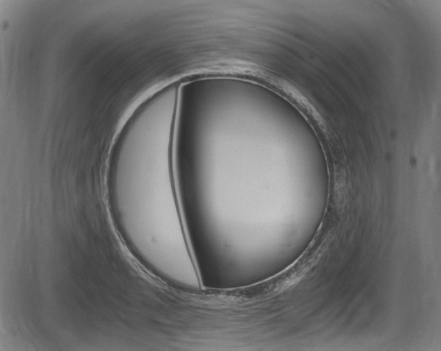 X0000084011085200702160819