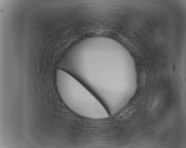 X0000084011105200702160818