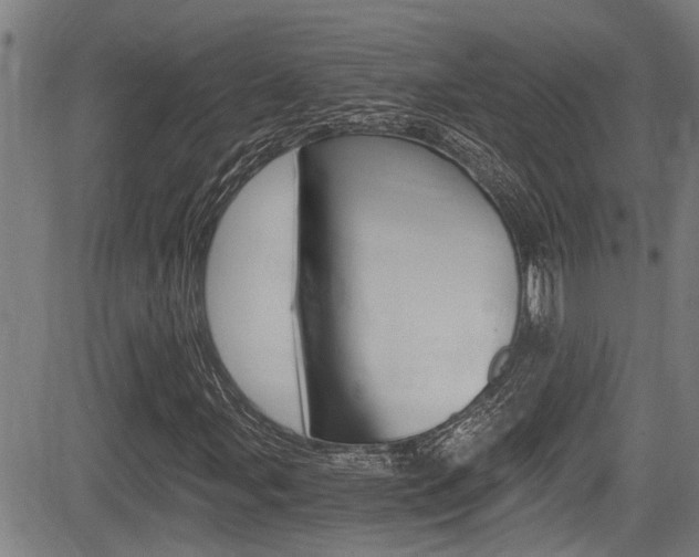 X0000084011107200702160818