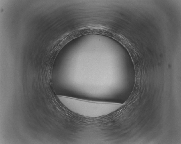 X0000084011110200702160818