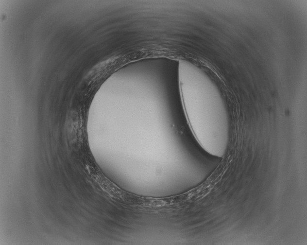 X0000084011111200702160818
