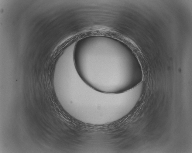 X0000084011112200702160818