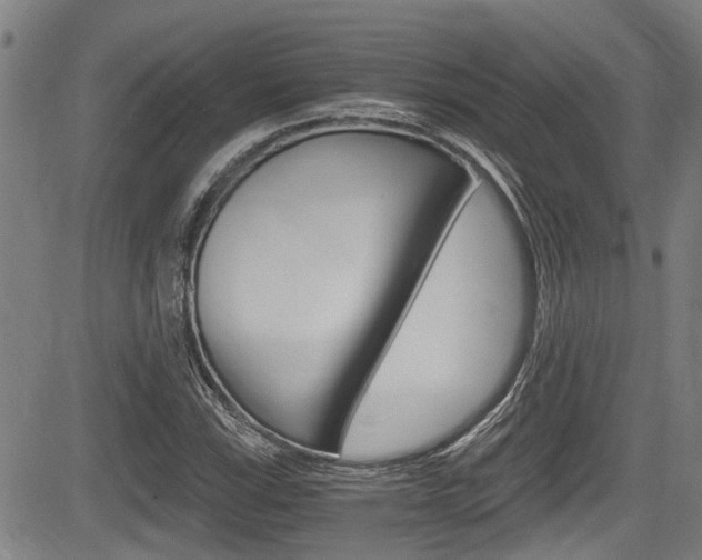 X0000084011115200702160818