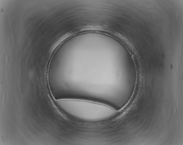 X0000084011129200702160818