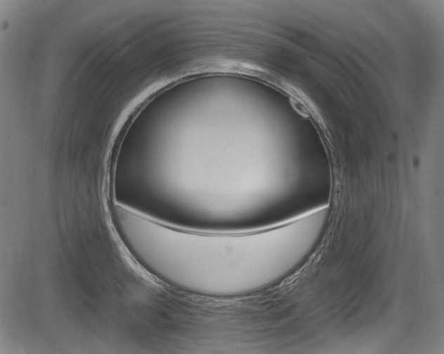 X0000084011136200702160818