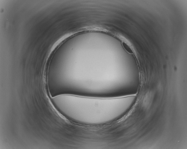 X0000084011141200702160818