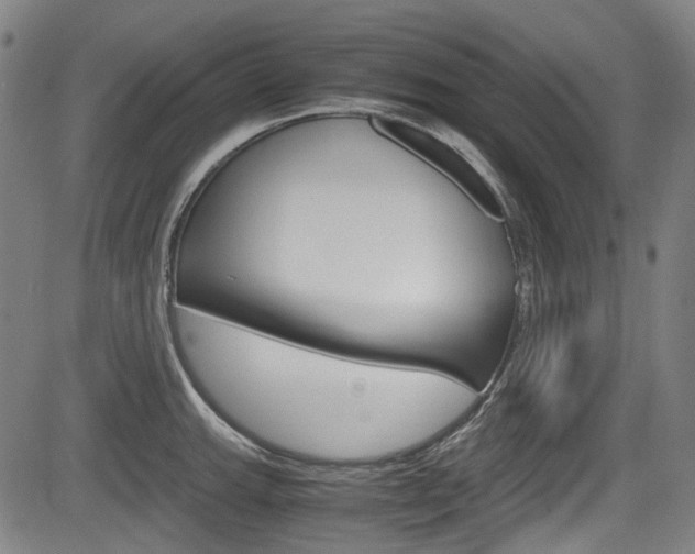 X0000084011143200702160818