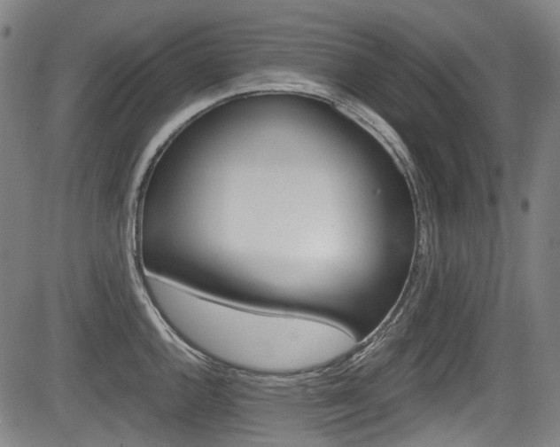 X0000084011144200702160818