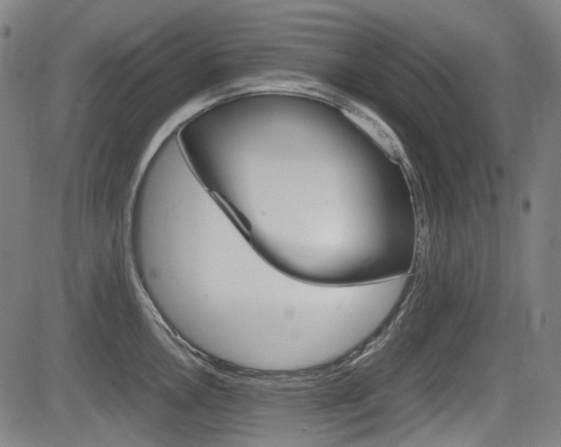 X0000084011146200702160818
