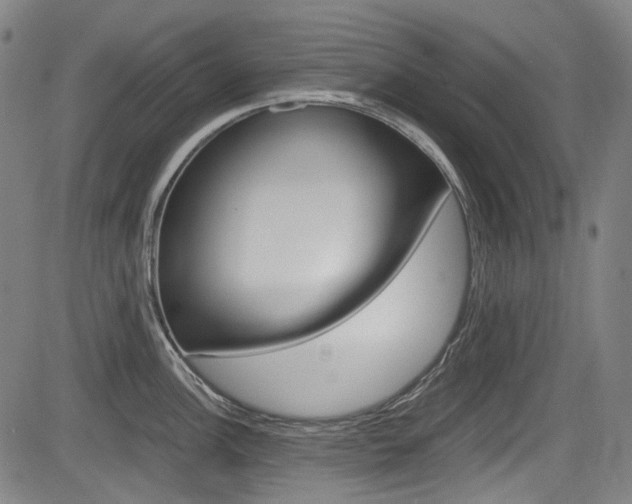 X0000084011148200702160818