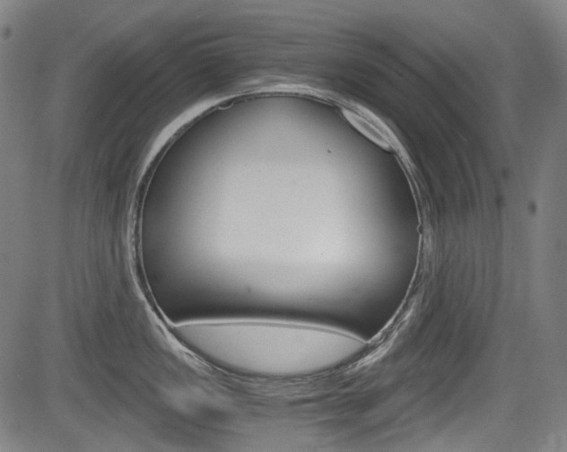 X0000084011149200702160818