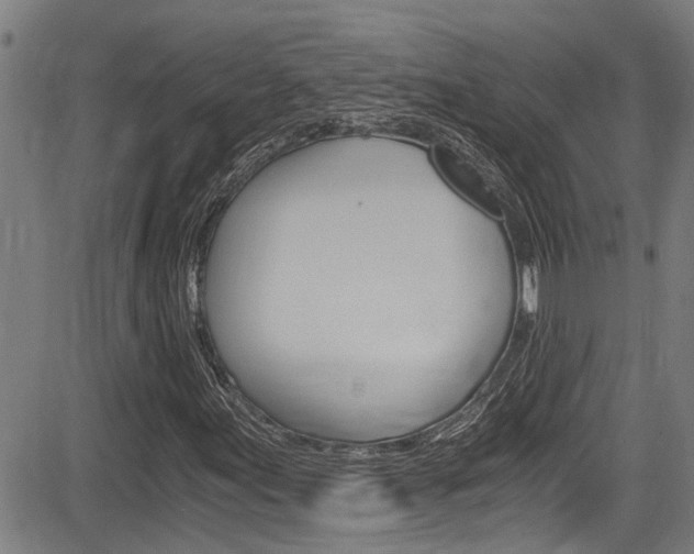 X0000084011155200702160818
