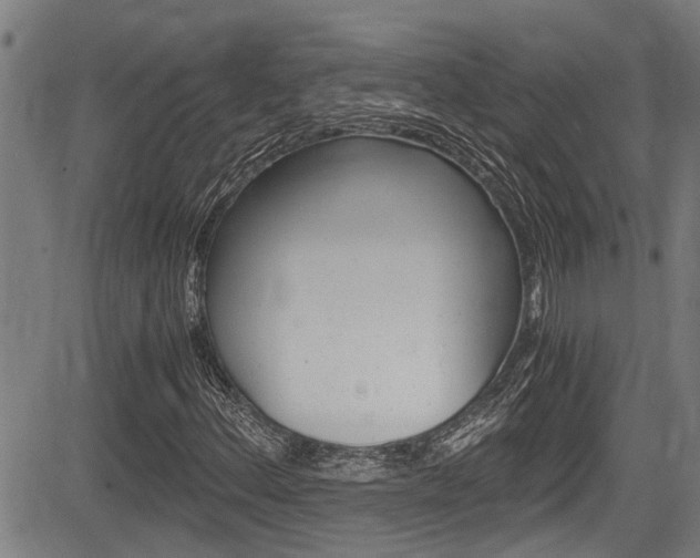 X0000084011156200702160818