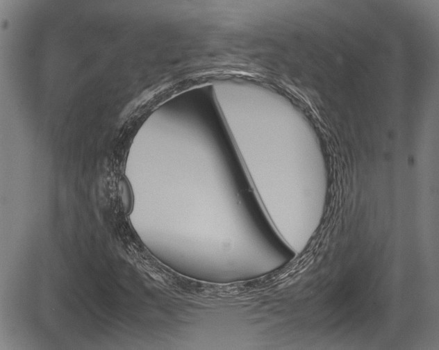 X0000084011159200702160818