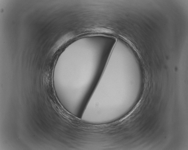 X0000084011163200702160818
