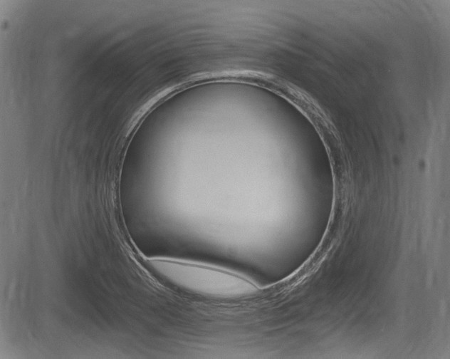 X0000084011177200702160817