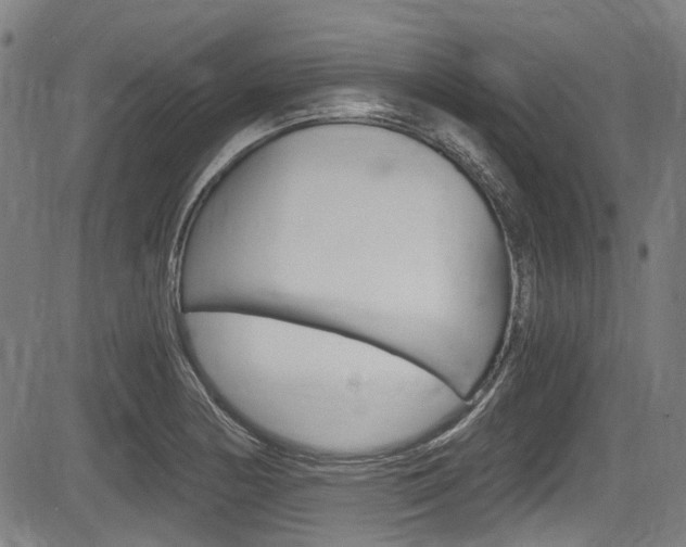 X0000084011178200702160817