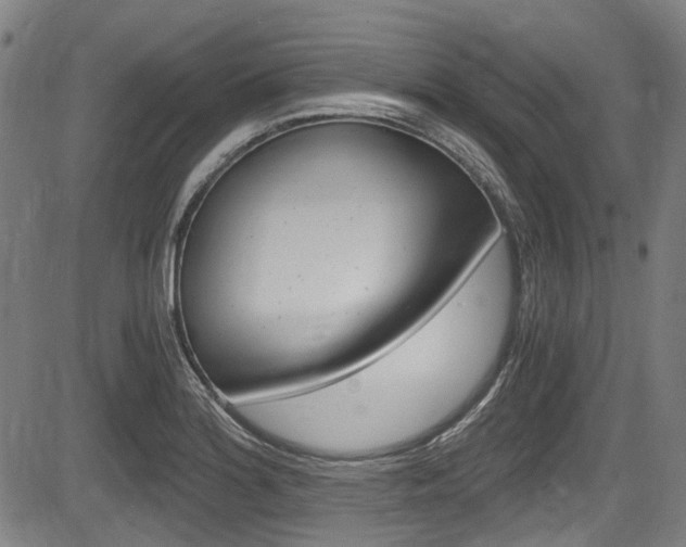 X0000084011180200702160817