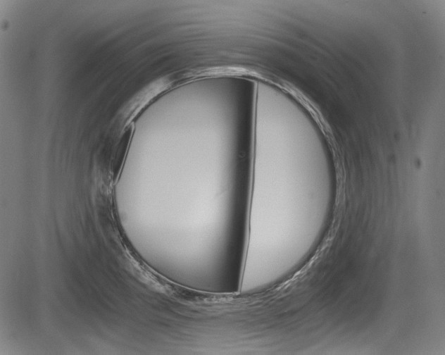 X0000084011193200702160817
