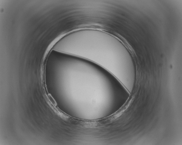 X0000084011196200702160817