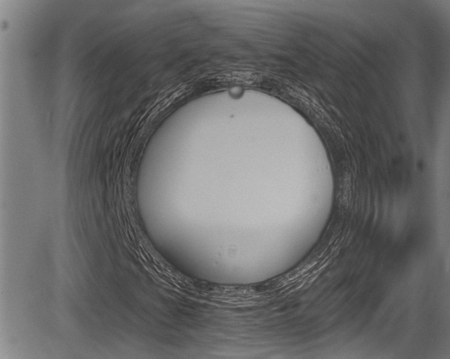 X0000084011201200702160816
