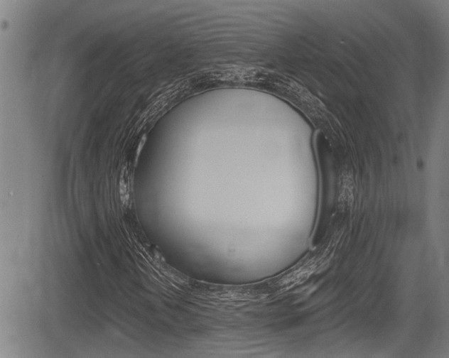 X0000084011202200702160816