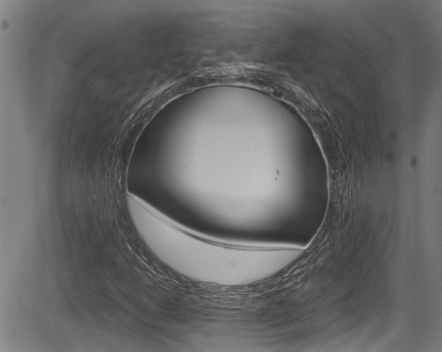 X0000084011206200702160816
