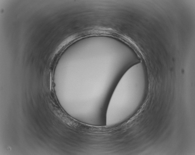 X0000084011219200702160816
