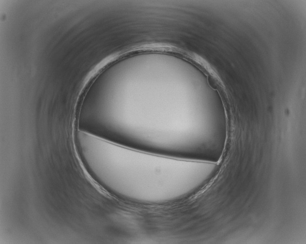 X0000084011237200702160817