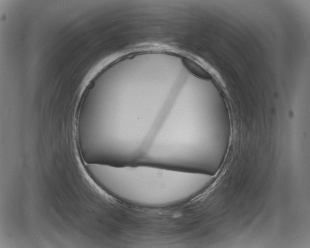 X0000084011239200702160817