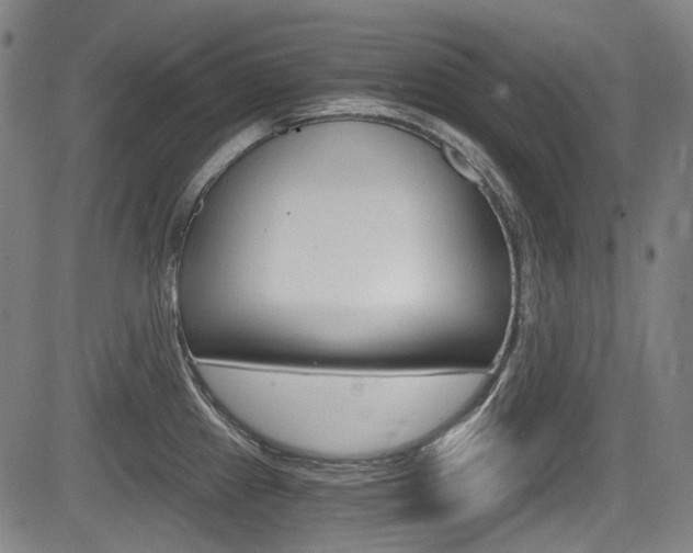 X0000084011241200702160817