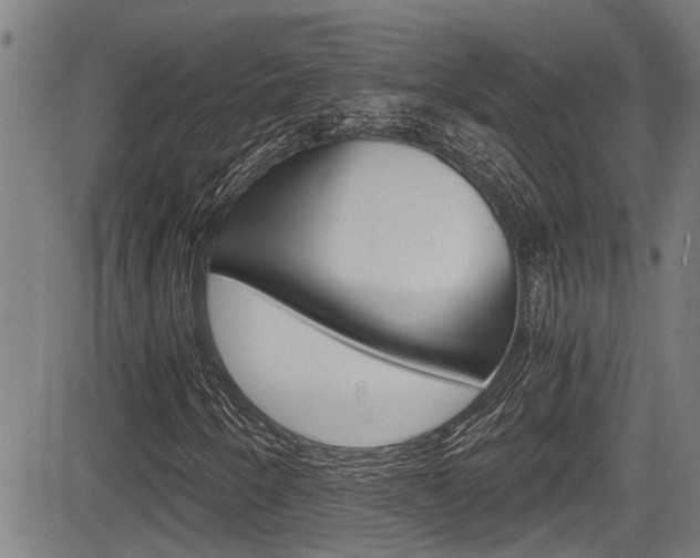 X0000084011250200702160816