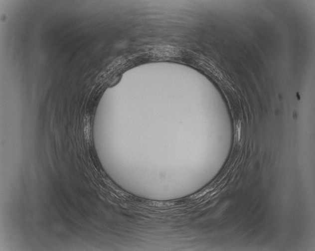 X0000084011251200702160816