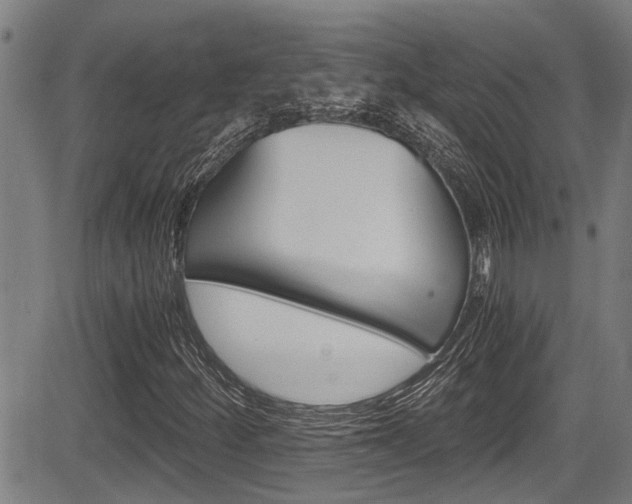 X0000084011252200702160816