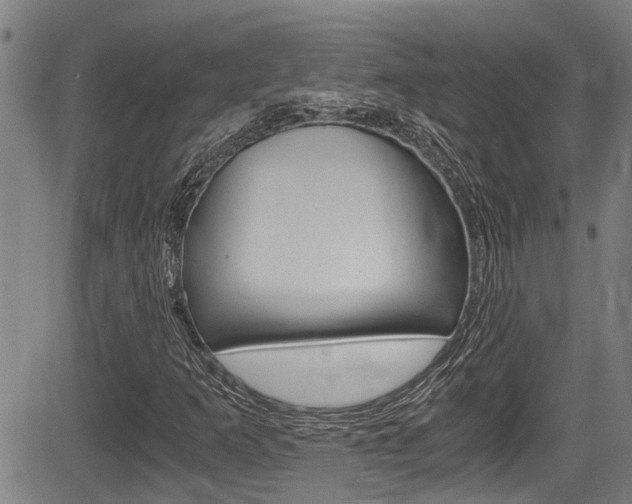 X0000084011253200702160816